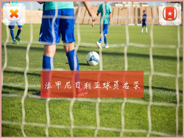 法甲尼日利亚球员名录